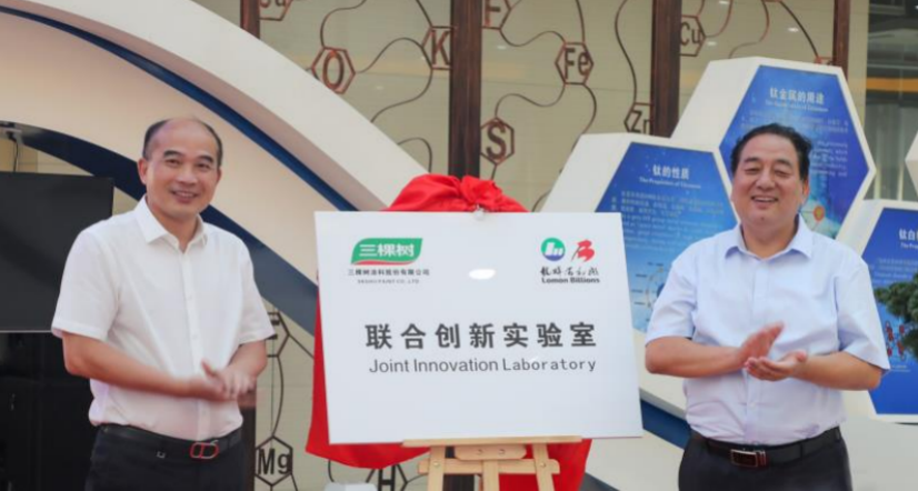 1599012817202268n5J8.png 1.png