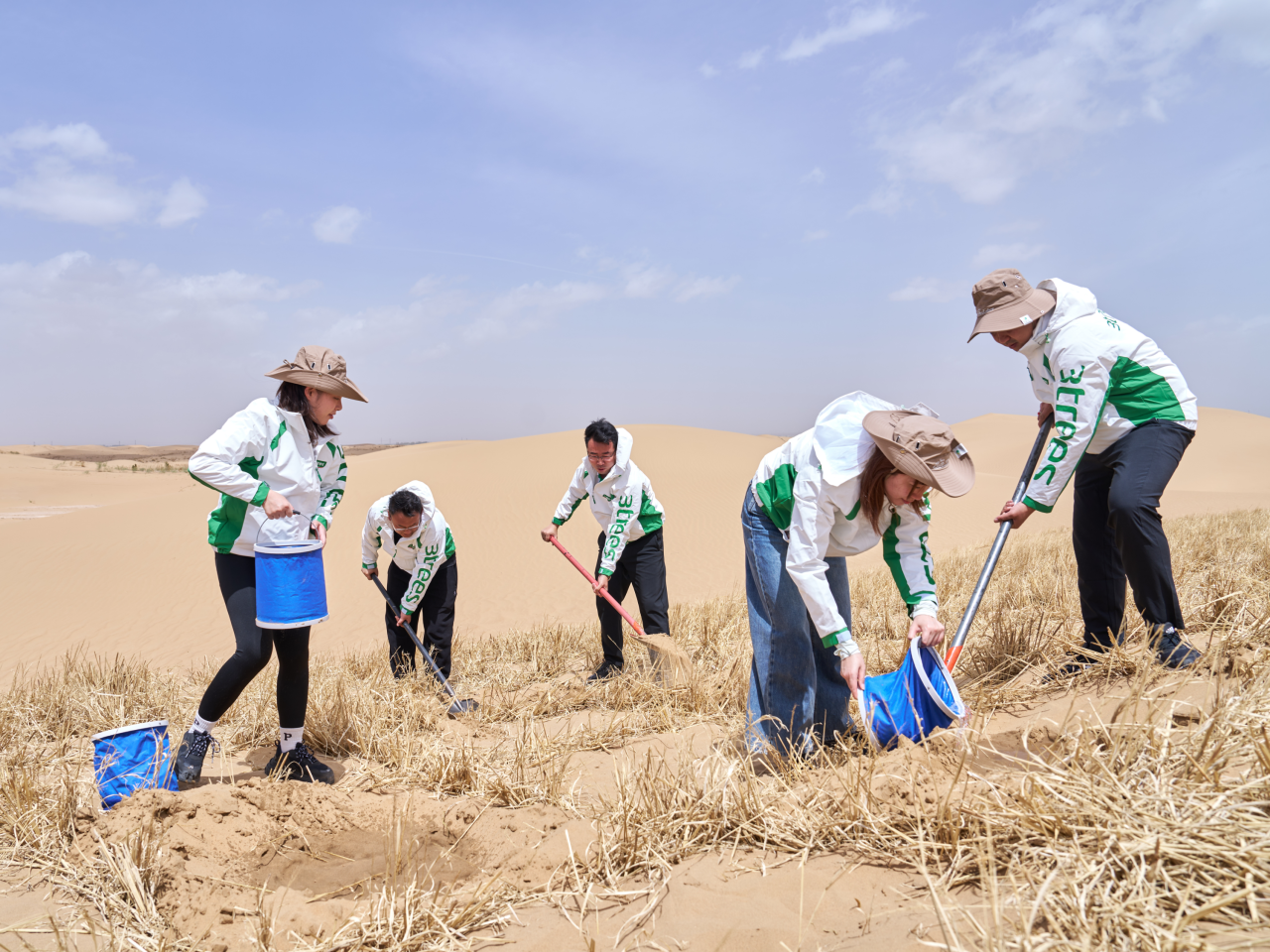 1731986544800676HVVO.png 1731986544800676HVVO.png